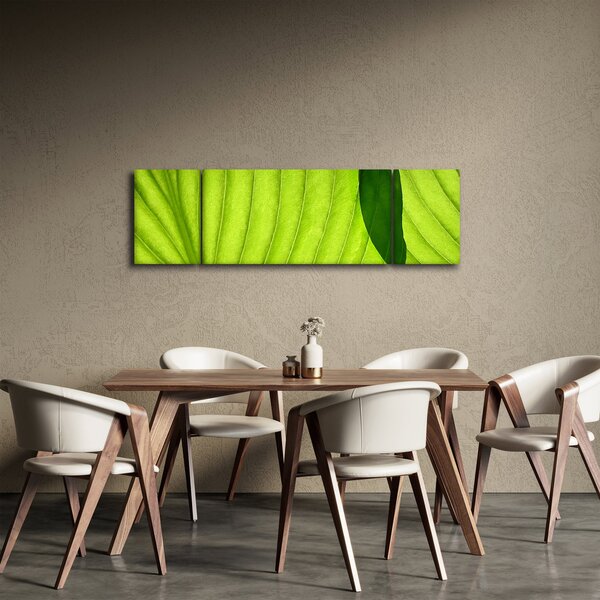 Obraz - Szczegół zielonego liścia (170x50 cm)