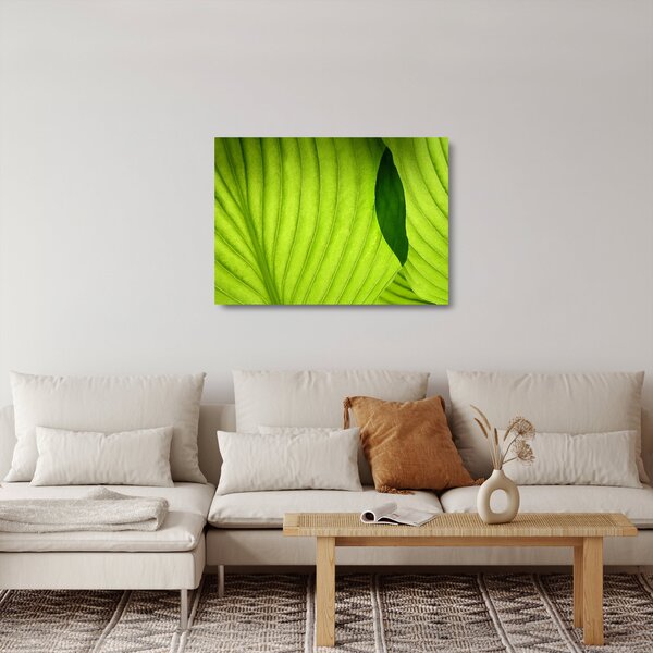 Obraz na szkle - Szczegół zielonego liścia (70x50 cm)