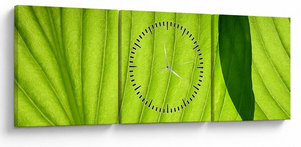 Obraz - Szczegół zielonego liścia (z zegarem) (90x30 cm)