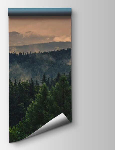 Fototapeta Las z mgłą i chmurami, Fototapety design, Popularne Fototapety, u72174 - Tapeko.pl