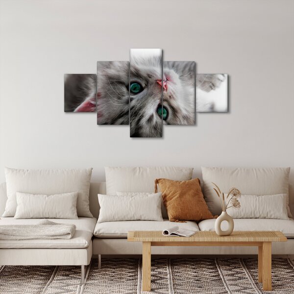 Obraz - Kot z zielonymi oczami (125x70 cm)