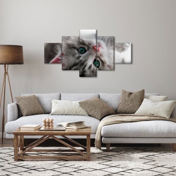 Obraz - Kot z zielonymi oczami (125x70 cm)