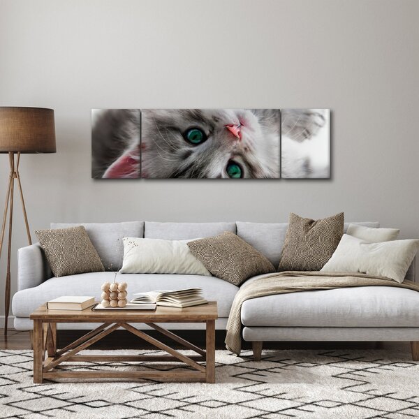 Obraz - Kot z zielonymi oczami (170x50 cm)