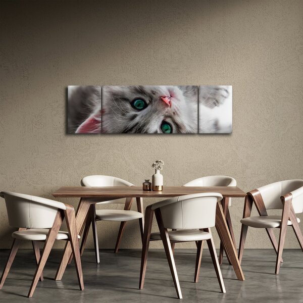 Obraz - Kot z zielonymi oczami (170x50 cm)