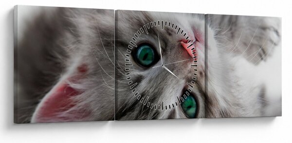 Obraz - Kot z zielonymi oczami (z zegarem) (90x30 cm)