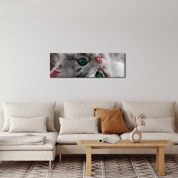Obraz - Kot z zielonymi oczami (z zegarem) (90x30 cm)