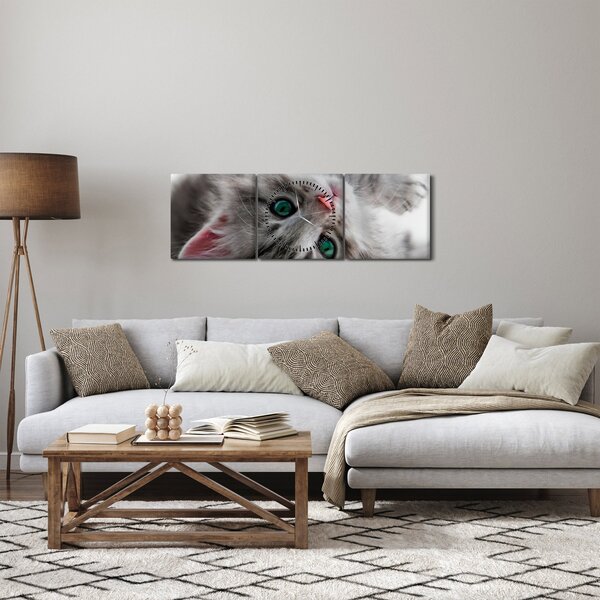 Obraz - Kot z zielonymi oczami (z zegarem) (90x30 cm)