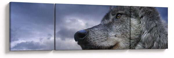 Obraz - Głowa wilka (170x50 cm)