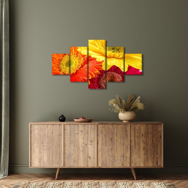 Obraz - Kwiaty Gerbery (125x70 cm)