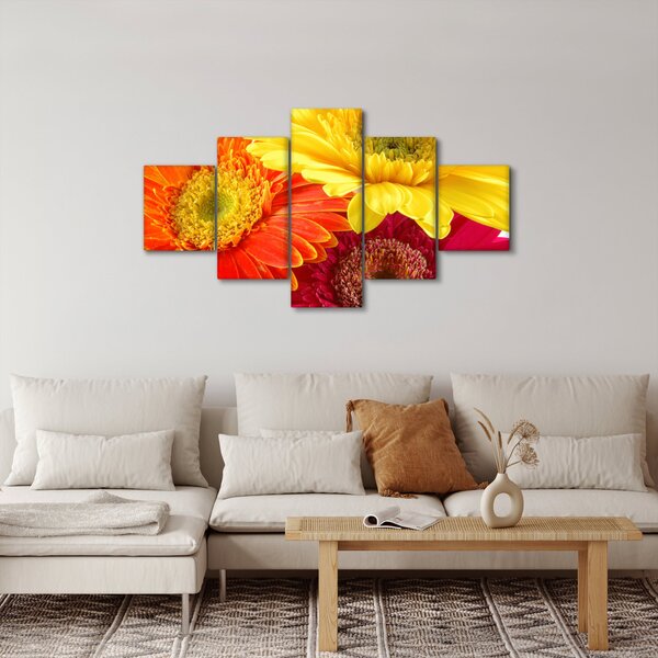 Obraz - Kwiaty Gerbery (125x70 cm)