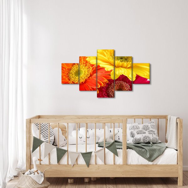 Obraz - Kwiaty Gerbery (125x70 cm)