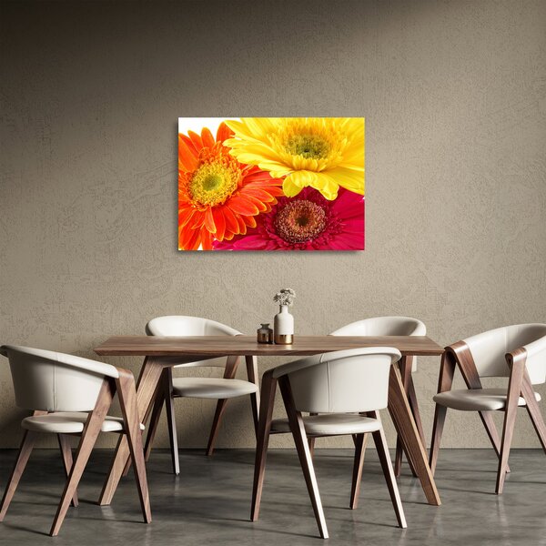 Obraz na szkle - Kwiaty Gerbery (70x50 cm)