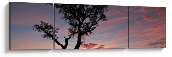 Obraz - Drzewo i czerwonawe odcienie (170x50 cm)