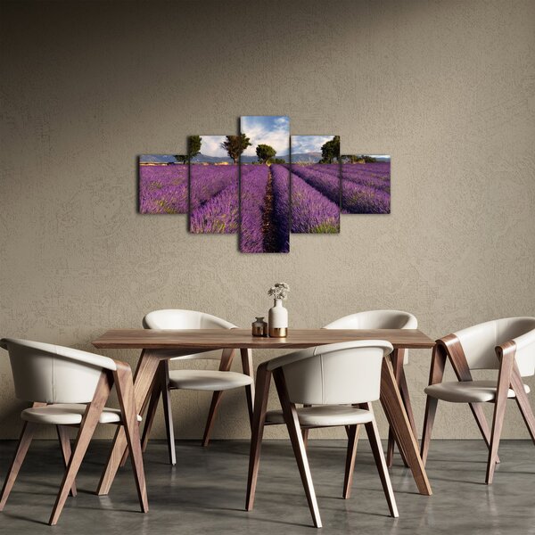 Obraz - Pole lawendy i góry (125x70 cm)