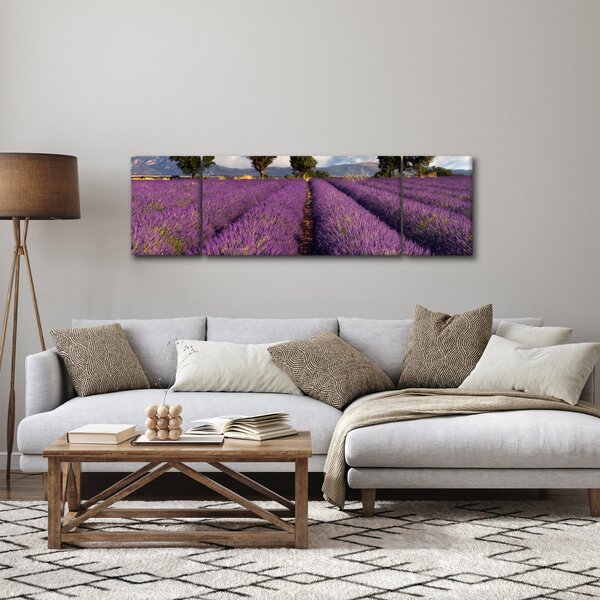 Obraz - Pole lawendy i góry (170x50 cm)
