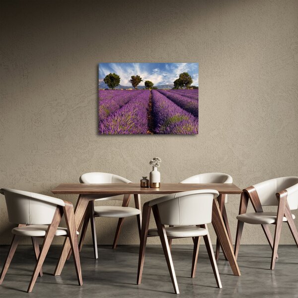 Obraz - Pole lawendy i góry (70x50 cm)