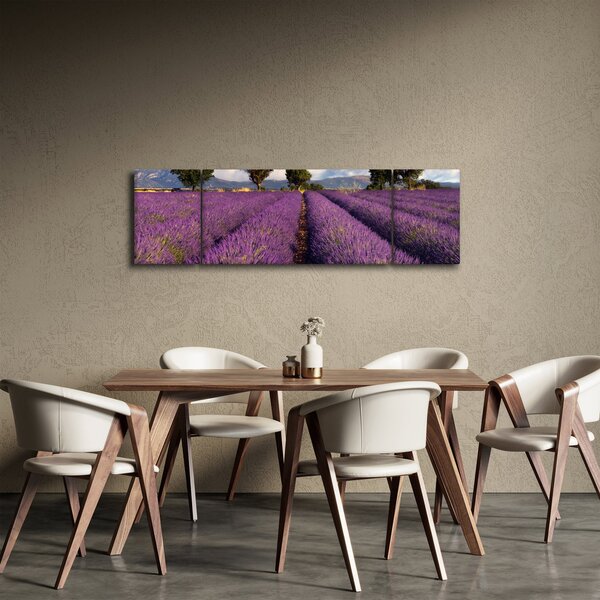 Obraz - Pole lawendy i góry (170x50 cm)