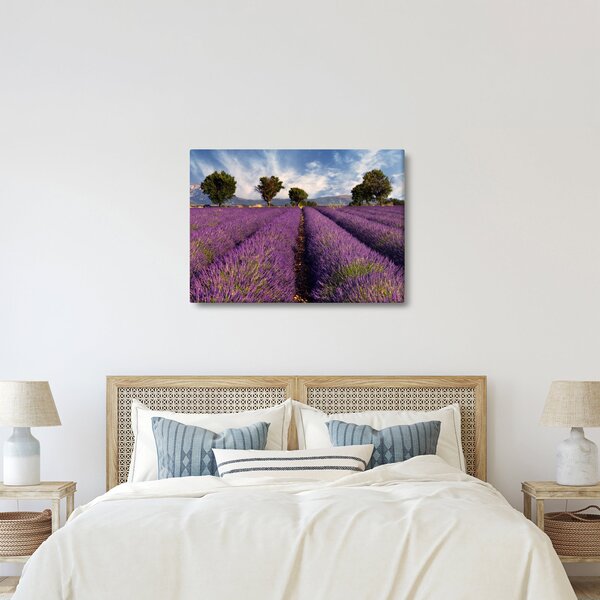 Obraz - Pole lawendy i góry (70x50 cm)