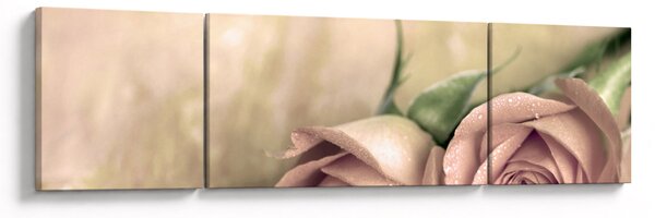 Obraz - Delikatne róże (170x50 cm)