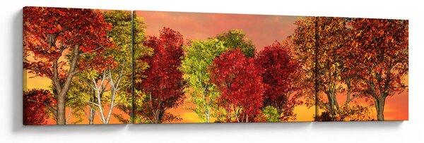 Obraz - Kolorowe drzewa (170x50 cm)