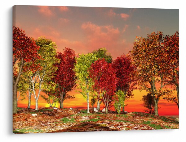 Obraz - Kolorowe drzewa (70x50 cm)
