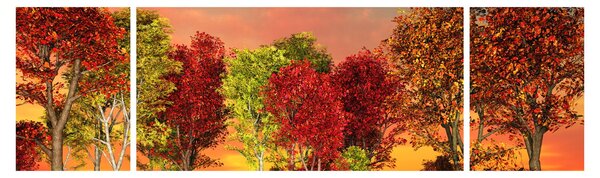 Obraz - Kolorowe drzewa (170x50 cm)