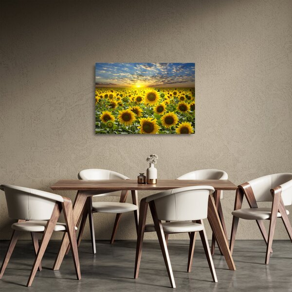 Obraz na szkle - Słoneczniki o zachodzie słońca (70x50 cm)