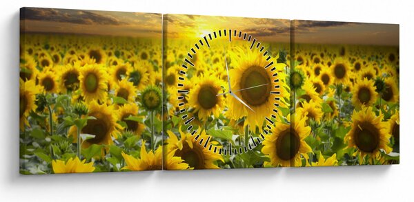 Obraz - Słoneczniki o zachodzie słońca (z zegarem) (90x30 cm)