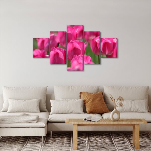 Obraz - Różowe tulipany (125x70 cm)