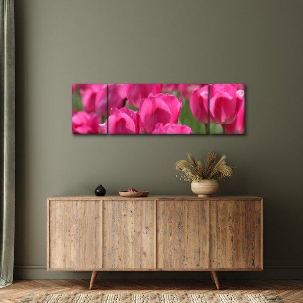 Obraz - Różowe tulipany (170x50 cm)
