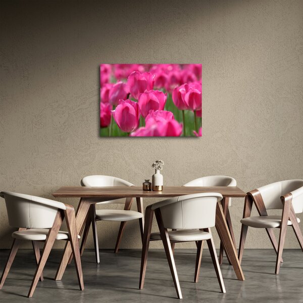 Obraz - Różowe tulipany (70x50 cm)