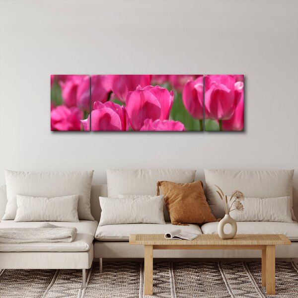 Obraz - Różowe tulipany (170x50 cm)