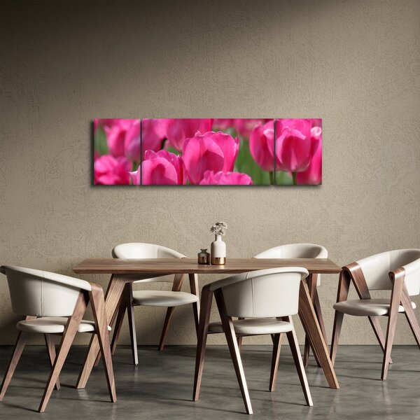 Obraz - Różowe tulipany (170x50 cm)
