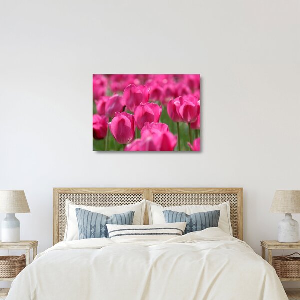 Obraz na szkle - Różowe tulipany (70x50 cm)