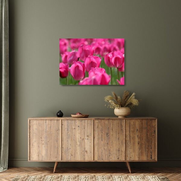 Obraz na szkle - Różowe tulipany (70x50 cm)
