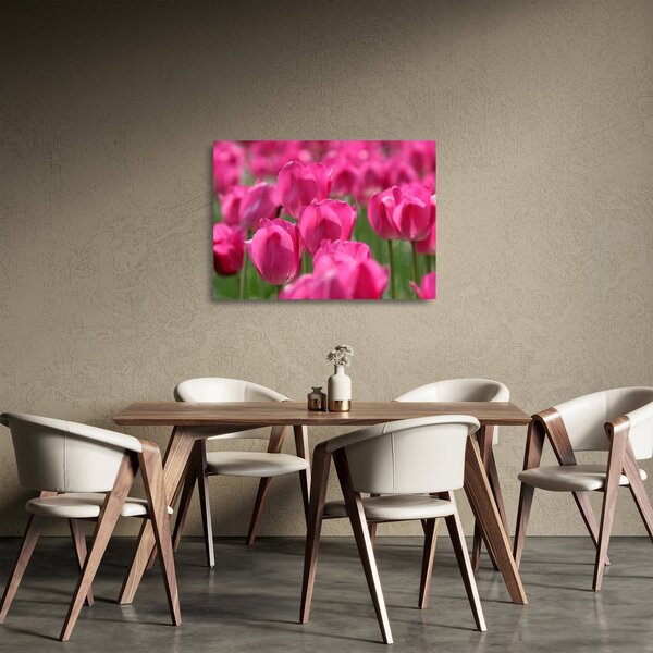Obraz na szkle - Różowe tulipany (70x50 cm)