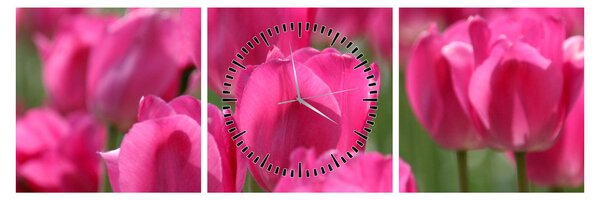 Obraz - Różowe tulipany (z zegarem) (90x30 cm)