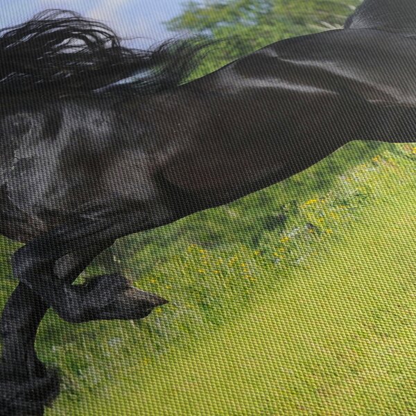 Obraz - Koń z płynącą grzywą (125x70 cm)