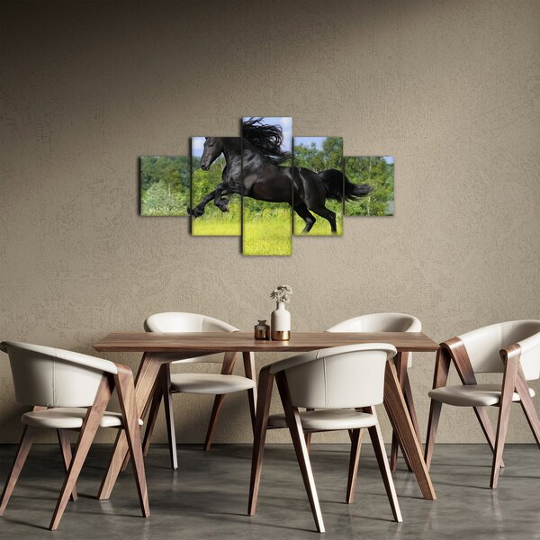 Obraz - Koń z płynącą grzywą (125x70 cm)