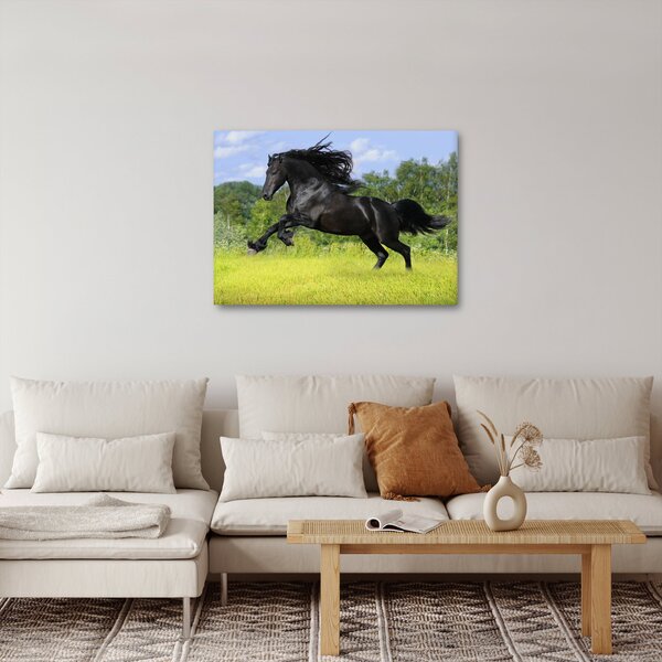Obraz - Koń z płynącą grzywą (70x50 cm)