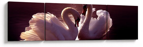 Obraz - Łabędzie na jeziorze (170x50 cm)