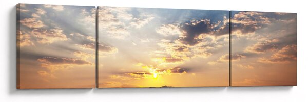 Obraz - Słonie wędrujące po sawannie (170x50 cm)