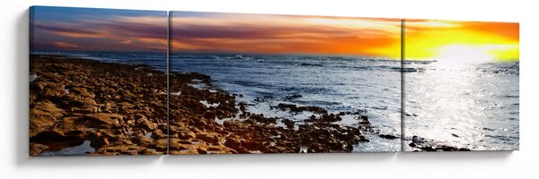 Obraz - Mewa lecąca nad wybrzeżem (170x50 cm)