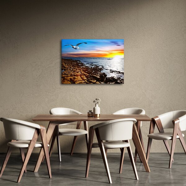 Obraz - Mewa lecąca nad wybrzeżem (70x50 cm)