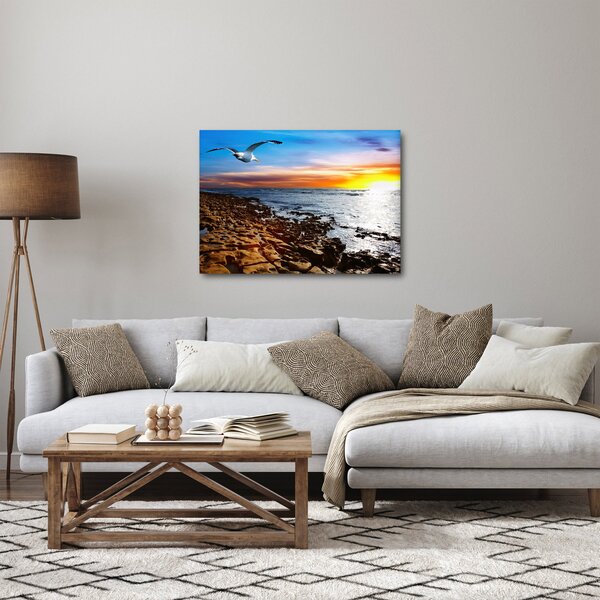 Obraz - Mewa lecąca nad wybrzeżem (70x50 cm)
