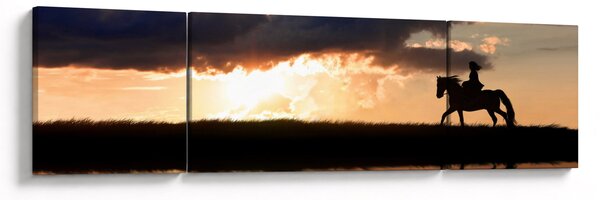 Obraz - Jeździec na koniu o zachodzie słońca (170x50 cm)