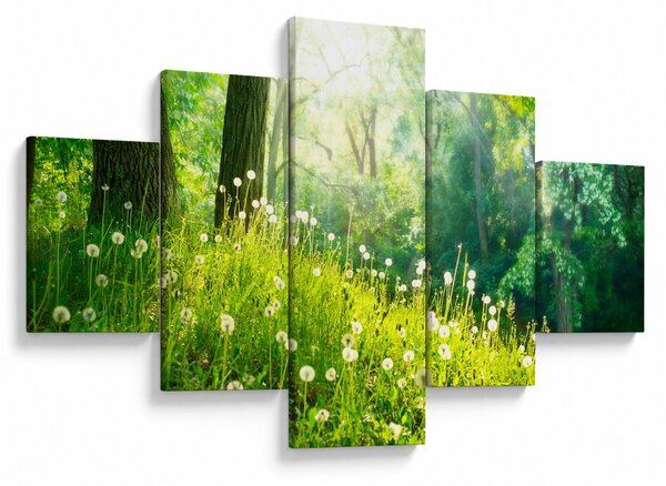 Obraz - Magiczna łąka pełna mniszków lekarskich (125x70 cm)