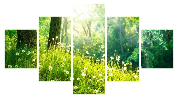 Obraz - Magiczna łąka pełna mniszków lekarskich (125x70 cm)