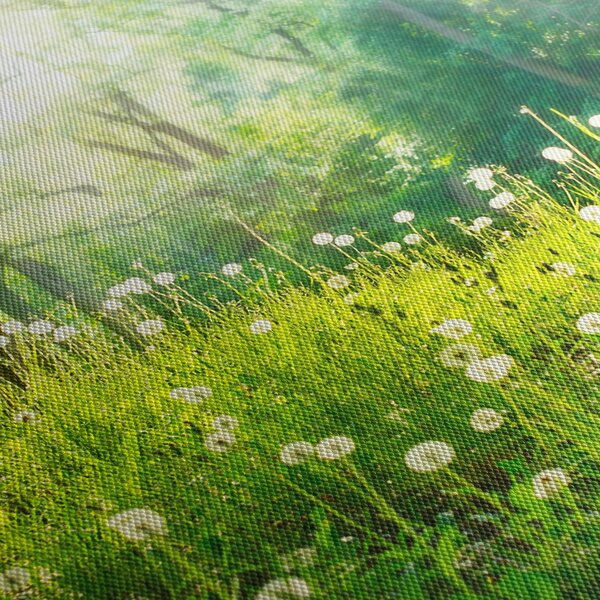 Obraz - Magiczna łąka pełna mniszków lekarskich (z zegarem) (90x30 cm)