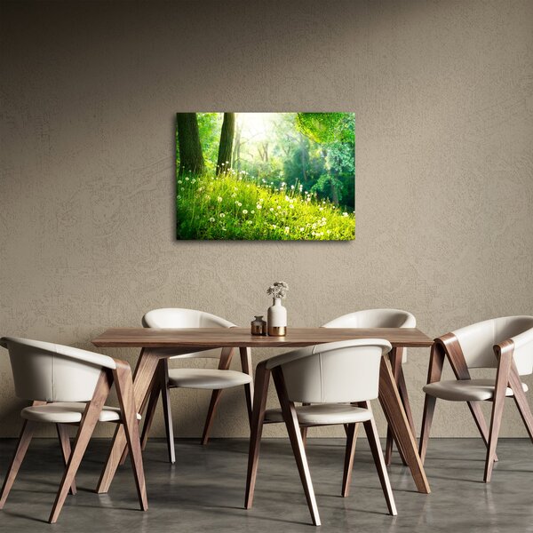 Obraz - Magiczna łąka pełna mniszków lekarskich (70x50 cm)